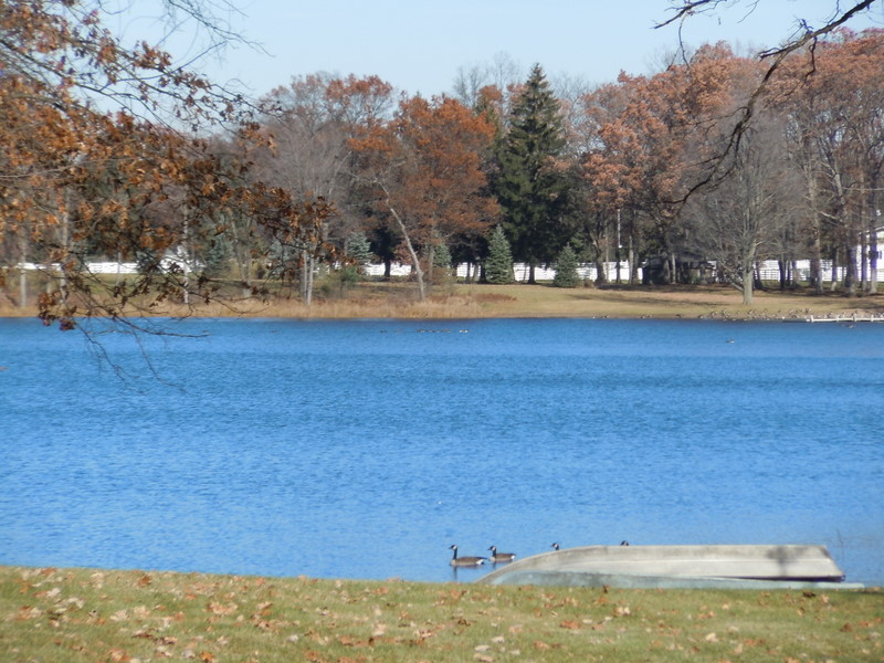 Real Estate Blaine Lake Homes For Sale Livingston County Michigan